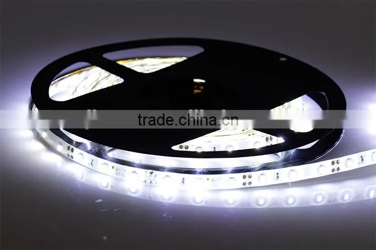 IP65 Latest Outdoor LED Decoration 1210 SMD Waterproof Flexible Tube Strip Lighting LED Strips Lights