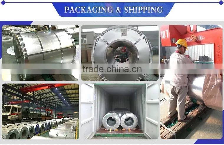 Prepainted Galvanized Steel Coil/PPGI/Colored Steel Coil