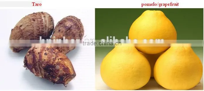 Pawpaw peeler equipment with capacity 240pcs/h