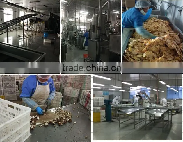 Vacuum Fried VF Dried Natural Green Turnip crisps for sale