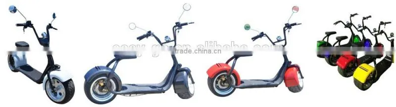 Newest design 1000w/800w City COCO scooter with sidecar with CE/RoHS/FCC certificate hot on sale