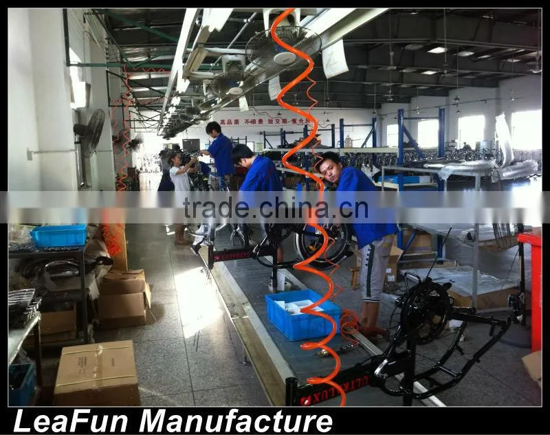 Europe NO1 Sell Aluminum alloy Electric Bike With High Power Motors .36VLithium Battery