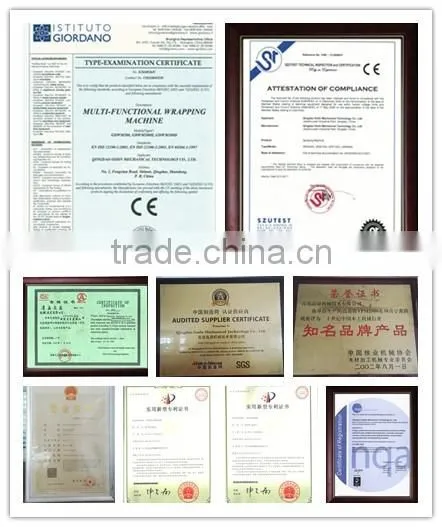 automatic spray paint machine/spray paint machine/Automatic Spraying Machine for Door