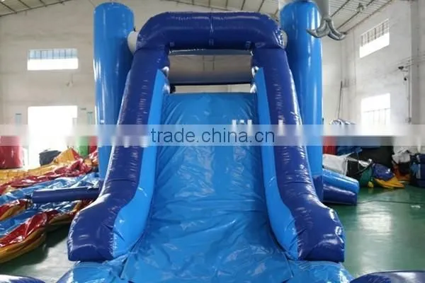 Hot Commercial Grade Cheap Dolphin Water Slide ,28ft Castle Slide