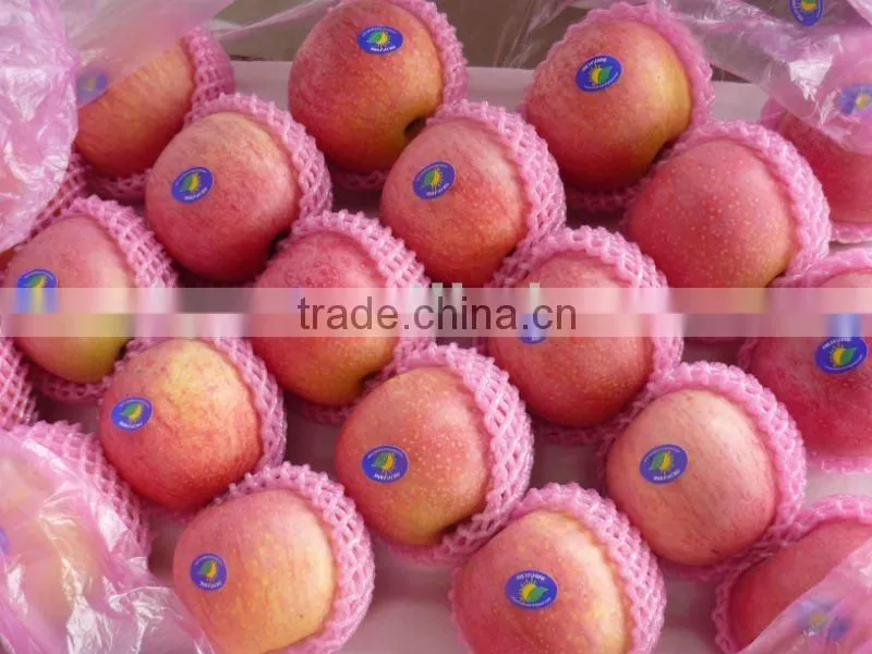 qinguan apple