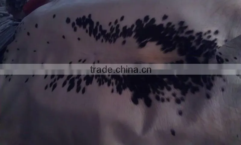 Cow Hair ON/Cow skin with hair