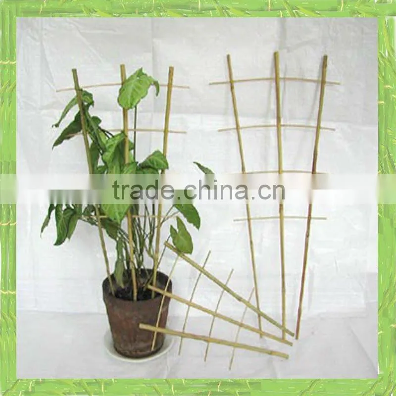 Bamboo ladder