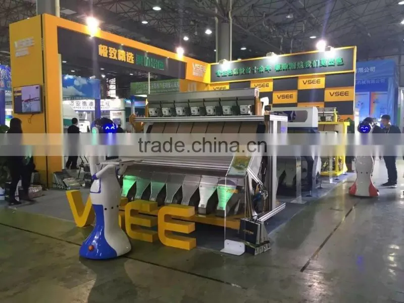 dried fruit sorting machine melon seeds color sorter