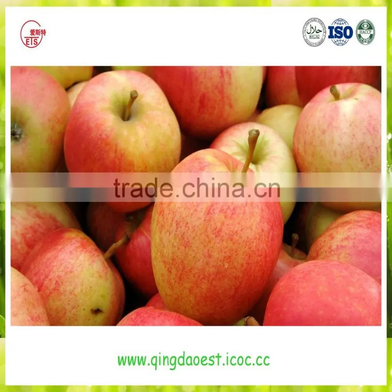 fresh red fuji apple