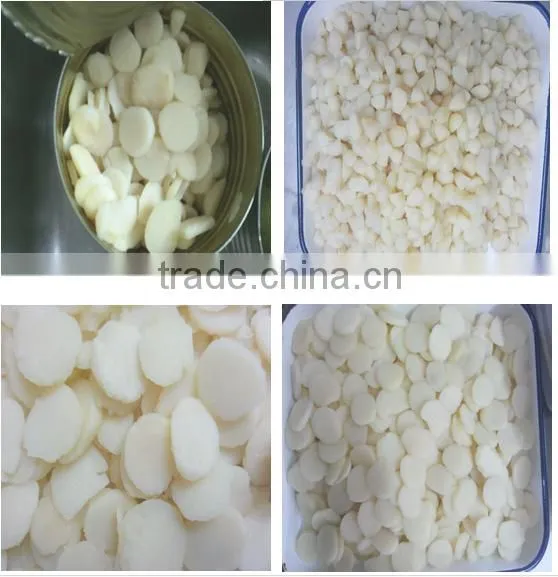 High quality canned water chestnut