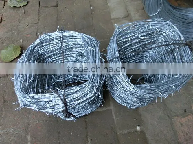 galvanized barbed wire