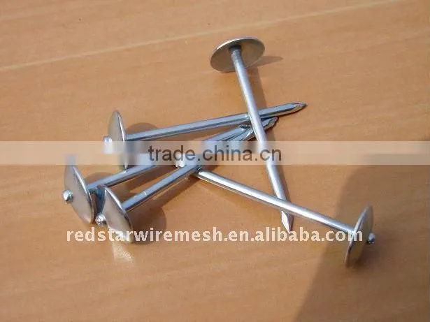 Twist Shank Galvanized Roofing Nails