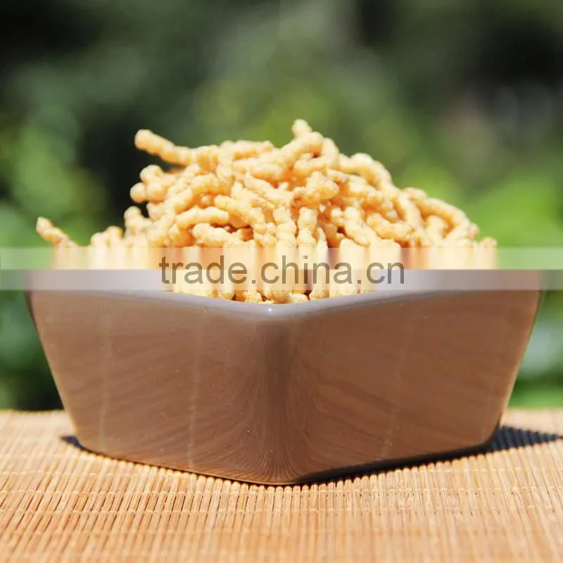 soybean extruder