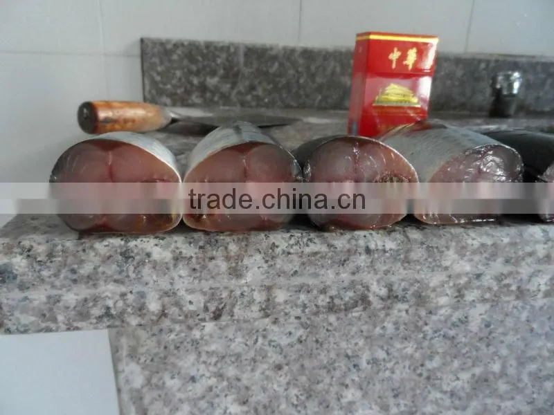 New frozen mackerel from china