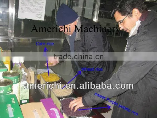 Artificial nutrition rice processing machine in Jinan