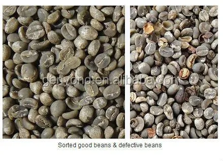 Color Sorting Machine for Coffee Beans and Nuts Bean Grading Equipment Product Type Nuts Processing Machinery