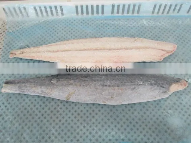 Frozen IQF Spanish Mackerel Fillet IQF Scomberomorus Niphonius King Fish Fillet
