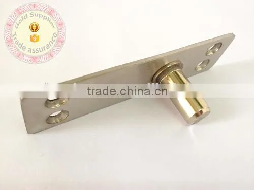Stainless Steel Pivot Hinges Wooden Hinge Glass Door Hinge Hinge for 360 Degree Rotating Door