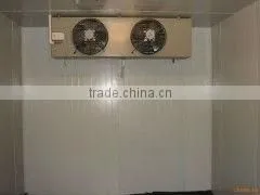 20ft/40ft cold room container