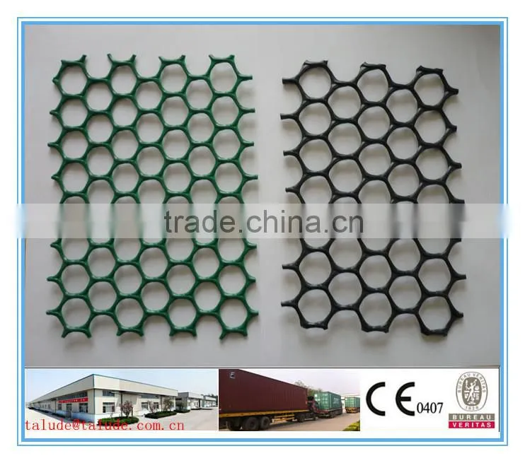HDPE plastic geonet CE121 CE131 CE151 CE161 CE163 CE181