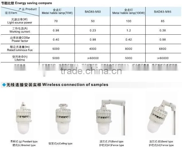 BAD83 explosion proof induction lamp