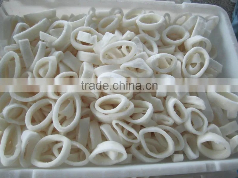 Frozen Squid With Ring ( Todarodes pacificus)