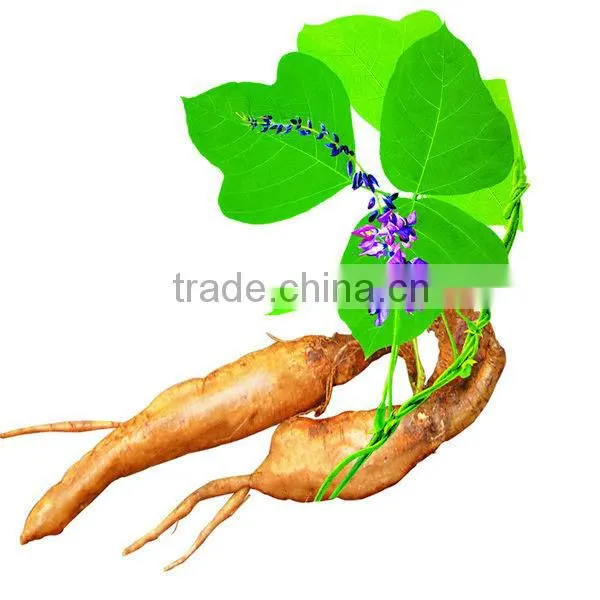 Kudzu Root Extract /Kudzu Isoflavones /Puerarin