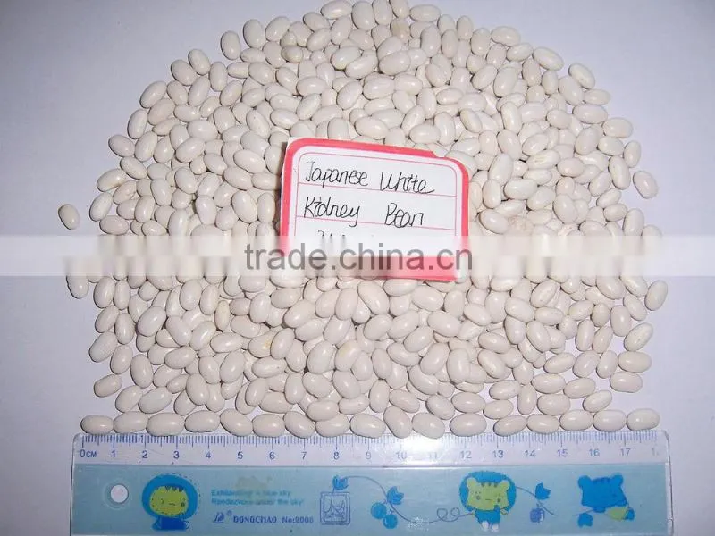 Price of white kidney bean 2014 crop white bean