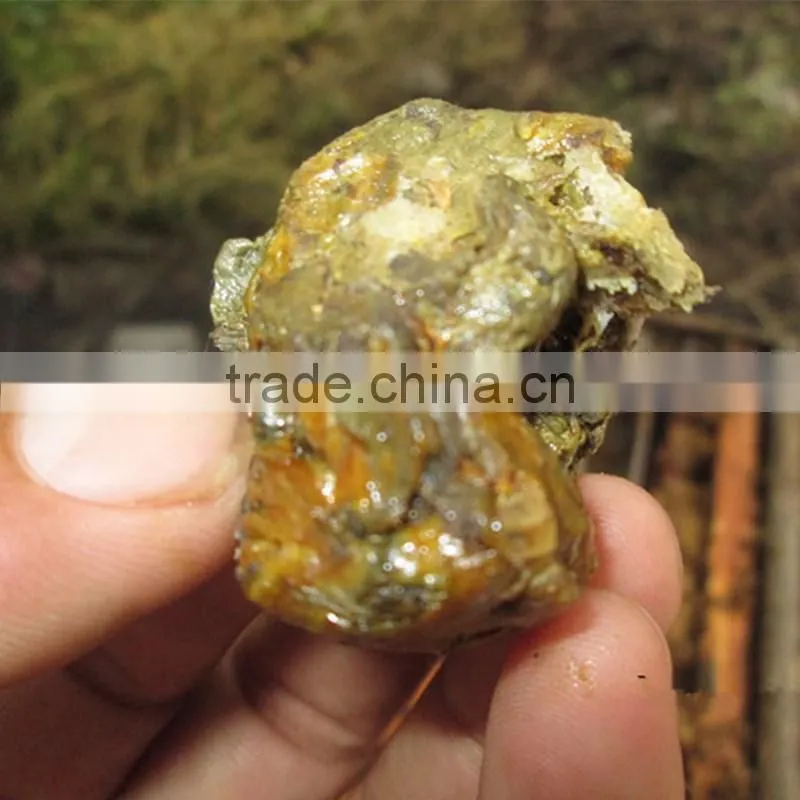 Pure extract bee propolis powder