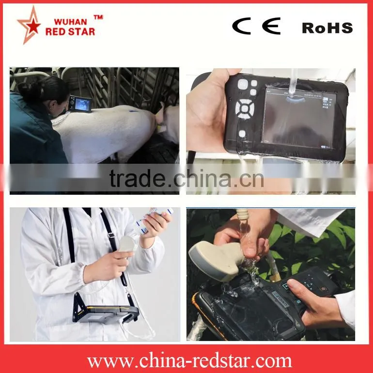 poultry farming veterinary ultrasound scanner equipment