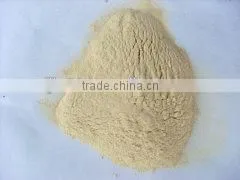 wheat gluten meal for animal feed