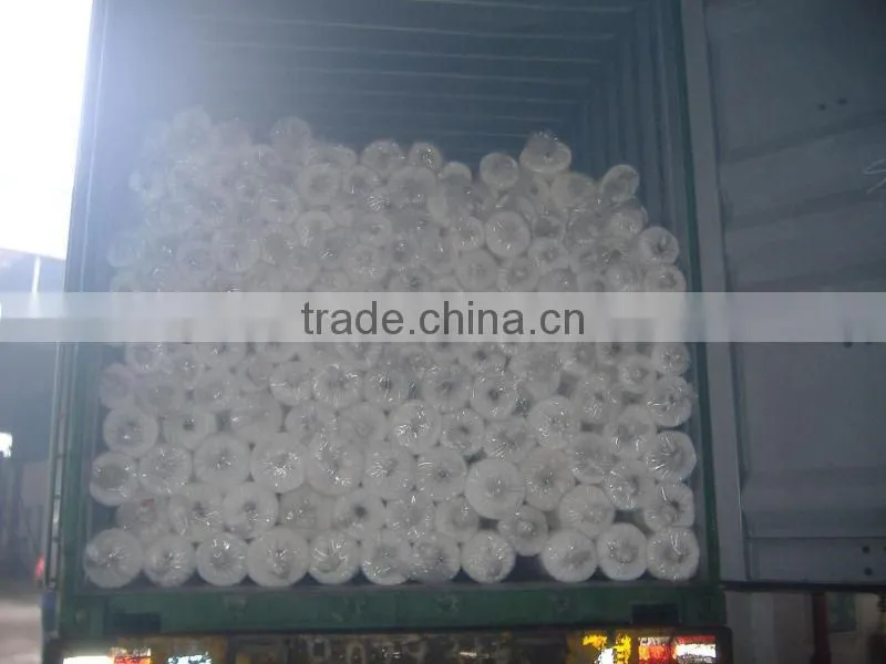EU market 8g/m2 plant support net