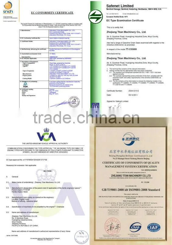 Titan 25CC CHAINSAW with CE MD