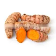 Turmeric / Curcuma longa Multiple layer continuous type mesh belt dryer
