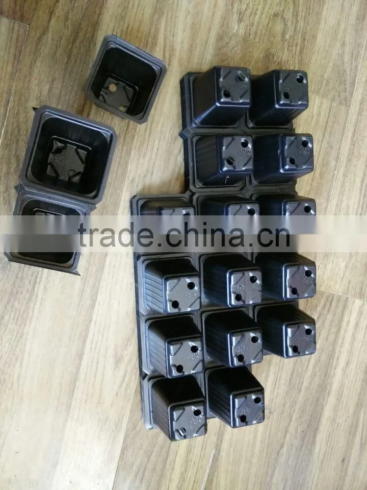 PS plastic germination and planting seed tray, can make easy to separate to one cell