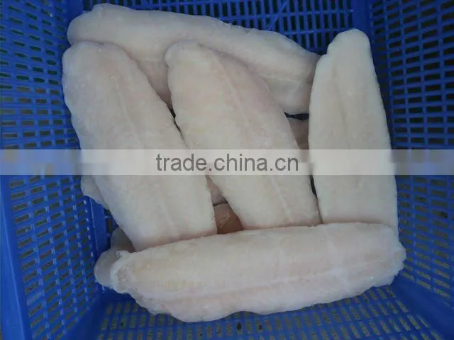 Pangasius fish/ frozen pangasius fillet/ basa fillet