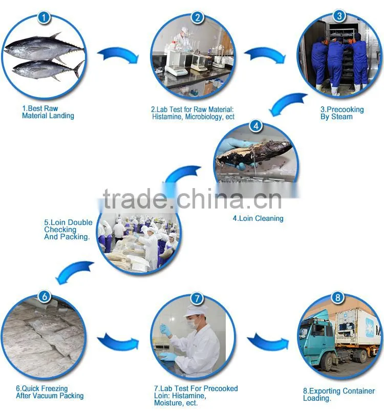 Yellow Fin Tuna Loin For Buyers