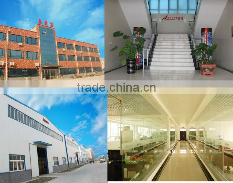 digital plateless personalized hot foil bronzing machine ADL-330B