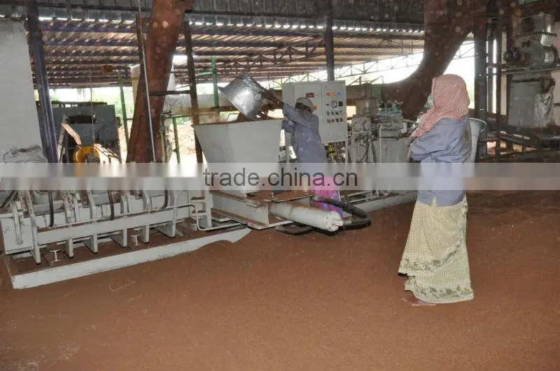 COIR DUST BLOCKS
