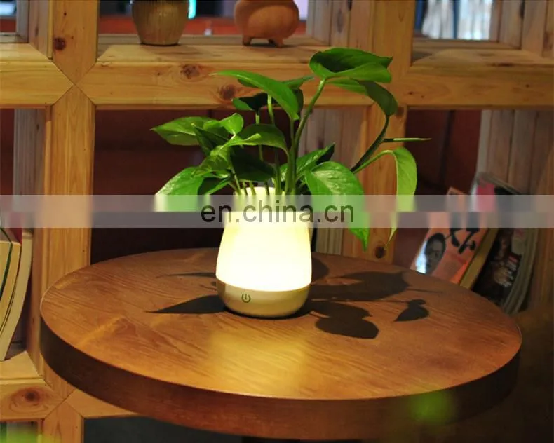 Creative table lamp LED energy-saving touch switch flower pot lamp
