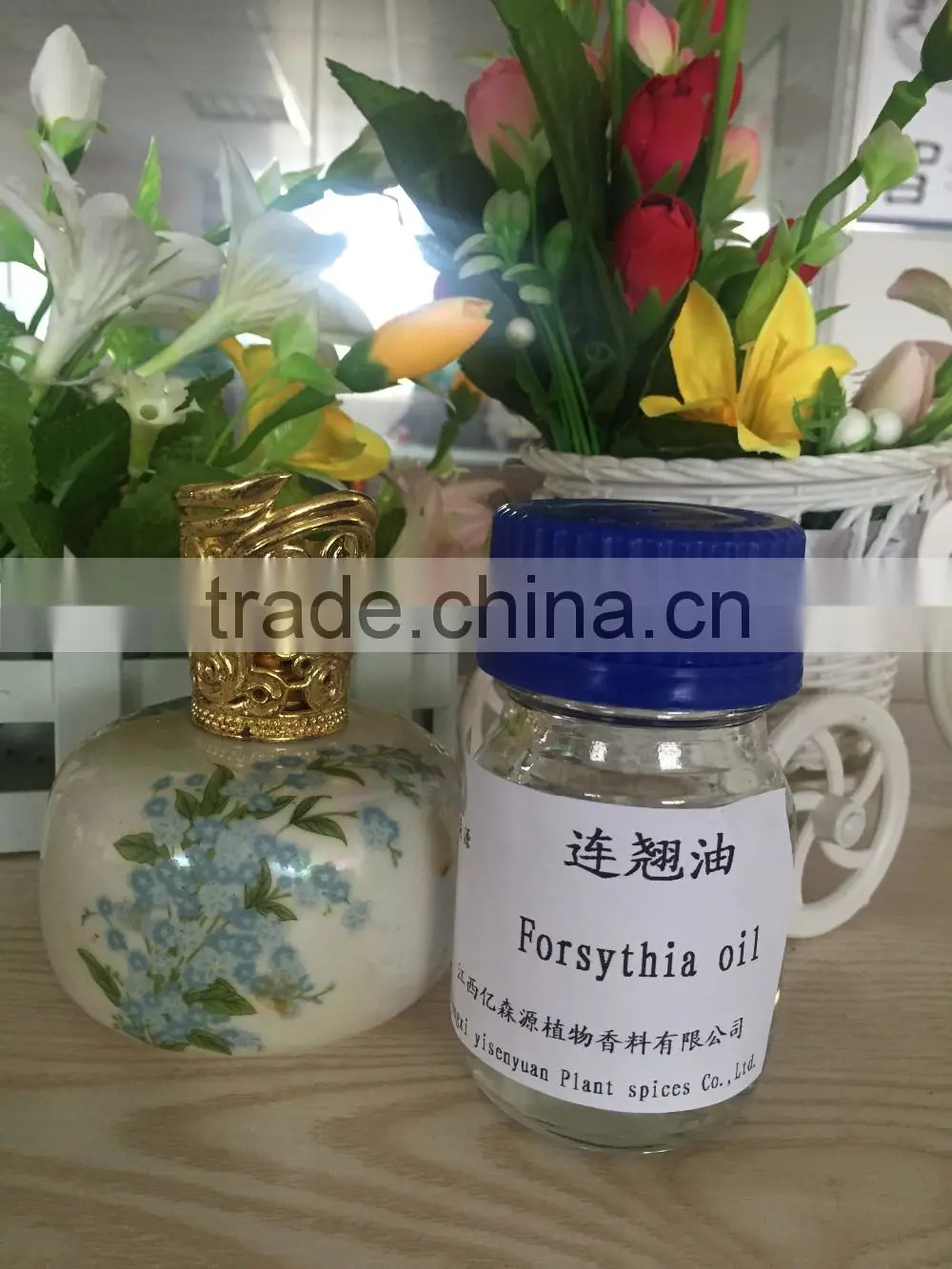forsythia oil