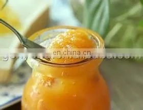 alphonso mango puree production making line