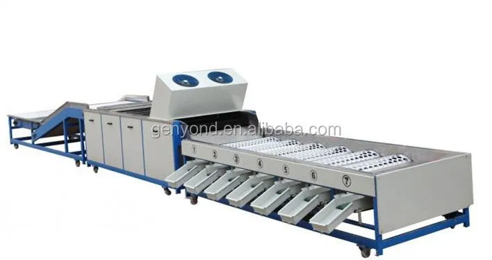 Orang Sorter Machine/ Mandarin Orange Sorting Machine/ apple Grading Machine