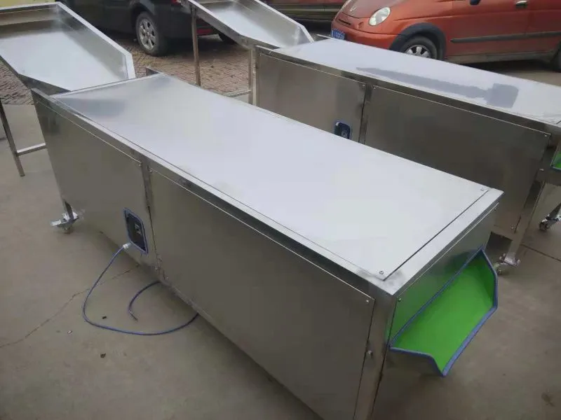 Stainless Steel Fruit Sorting Machine for Sale