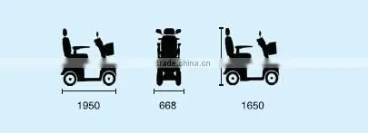 dual seats mobility scooter with canopy sight-seeing vehicle electric scooter power scooter