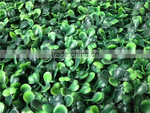 PE plastic green wall artificial garden boxwood hedge for residencial