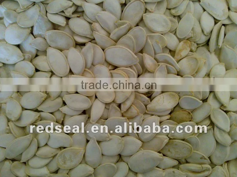 Shin skin pumpkin seeds