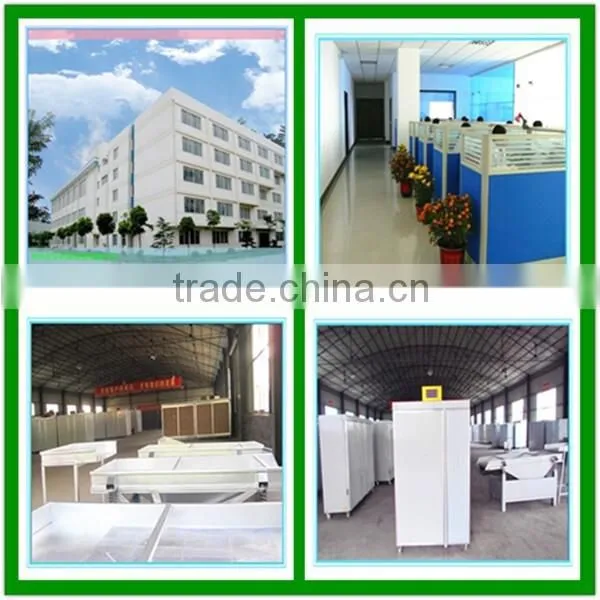 Biggest Brick Machine Manufacture Qgm--parent Firm Of Germany Top Brand Zenith Full Automatic Block Making Machine