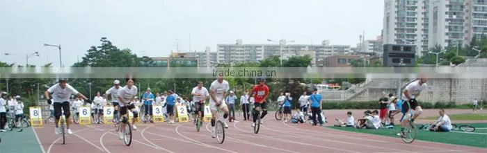 2015 hot sell to South Korea unicycle(PW-UN16100)