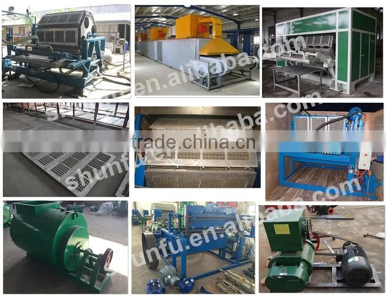 Paper Pulp Egg Tray Molding Machinery For Sale